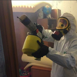 Уничтожение клопов в квартире. Рославль